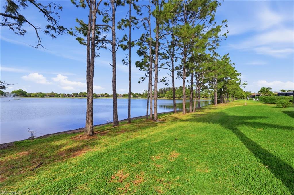 13803 Golden Palms Cir Property Photo 30