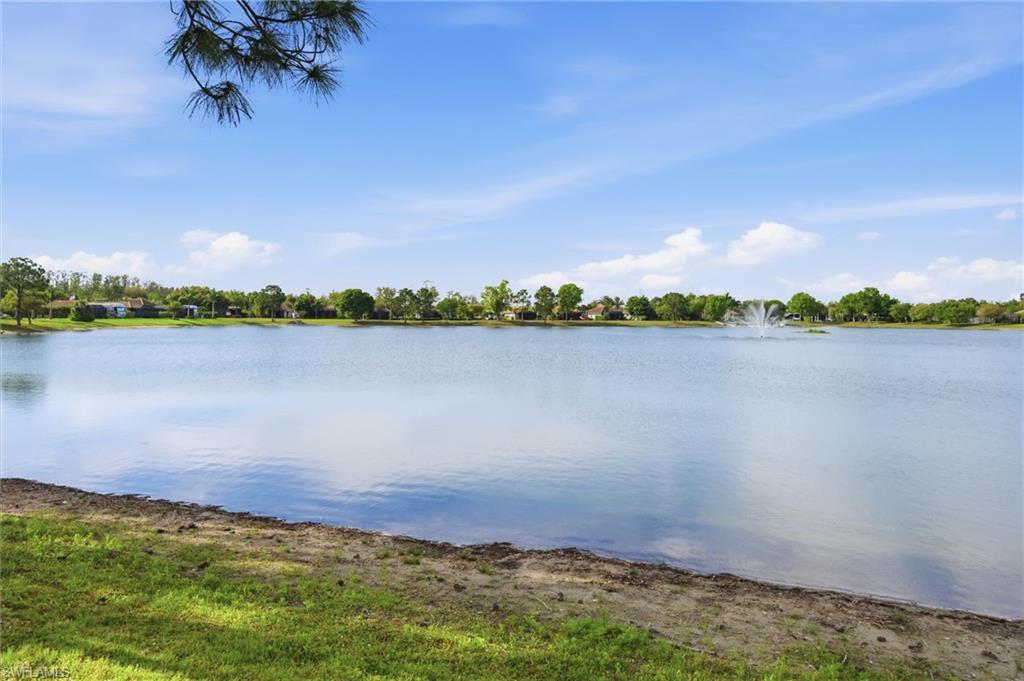13803 Golden Palms Cir Property Photo 35