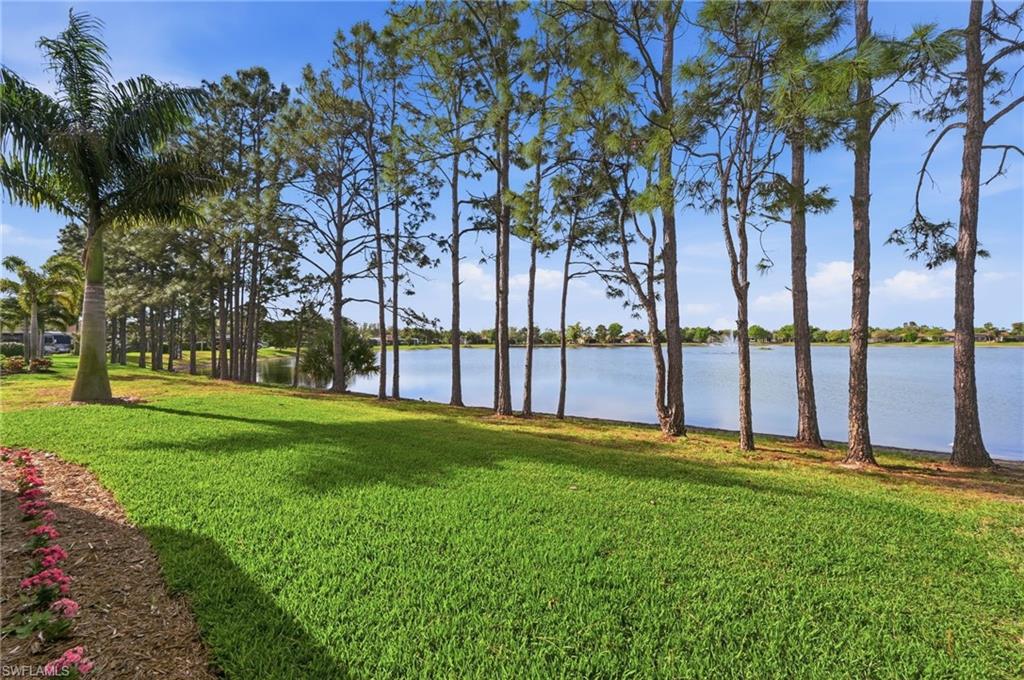 13803 Golden Palms Cir Property Photo 36