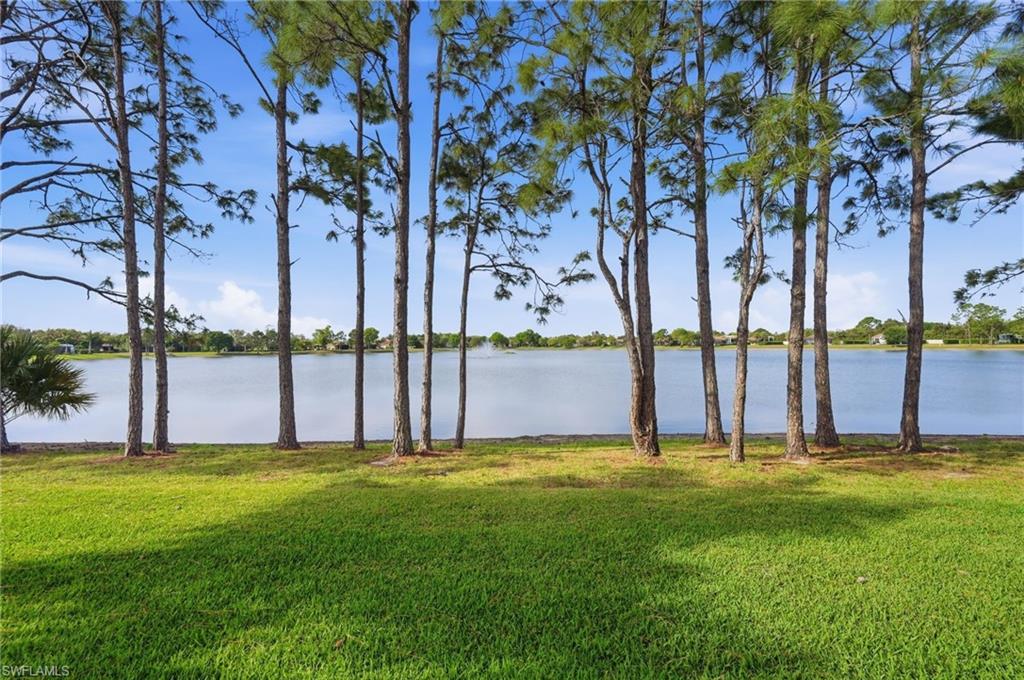 13803 Golden Palms Cir Property Photo 37