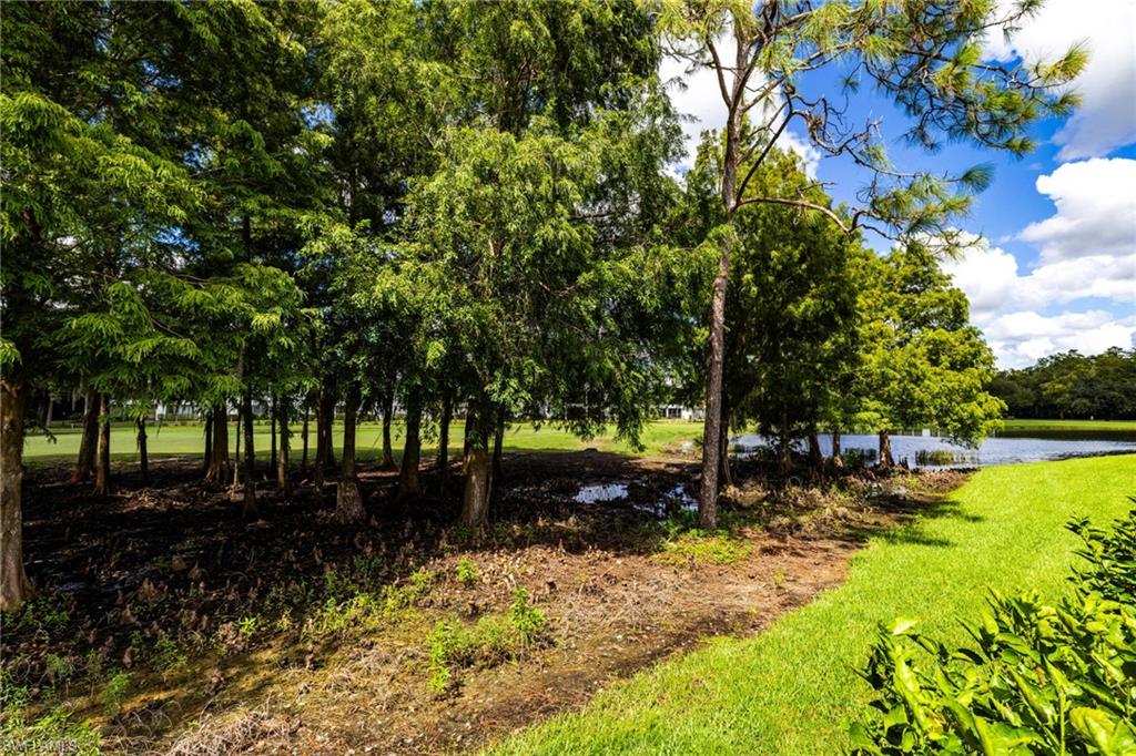12642 Inverary Cir Property Photo 34