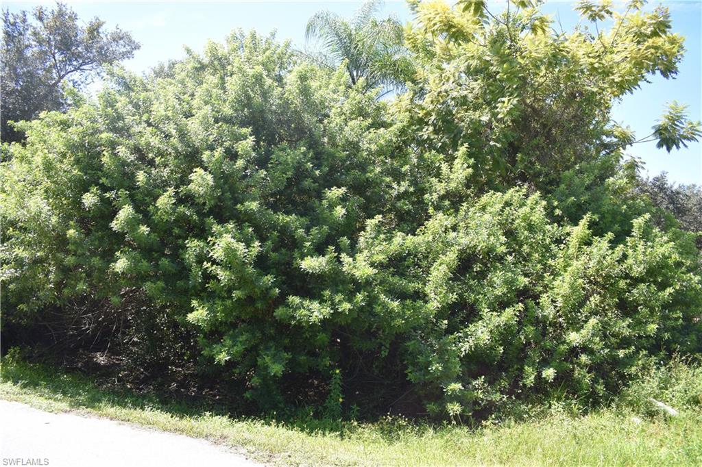 2291 Triton Ter Property Photo 3