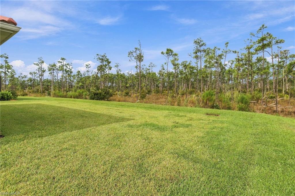 3691 Crosswater Dr Property Photo 39