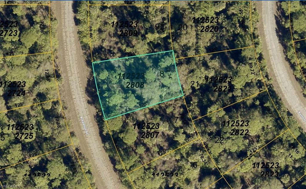 1125232808 Breadnut St Property Photo 1