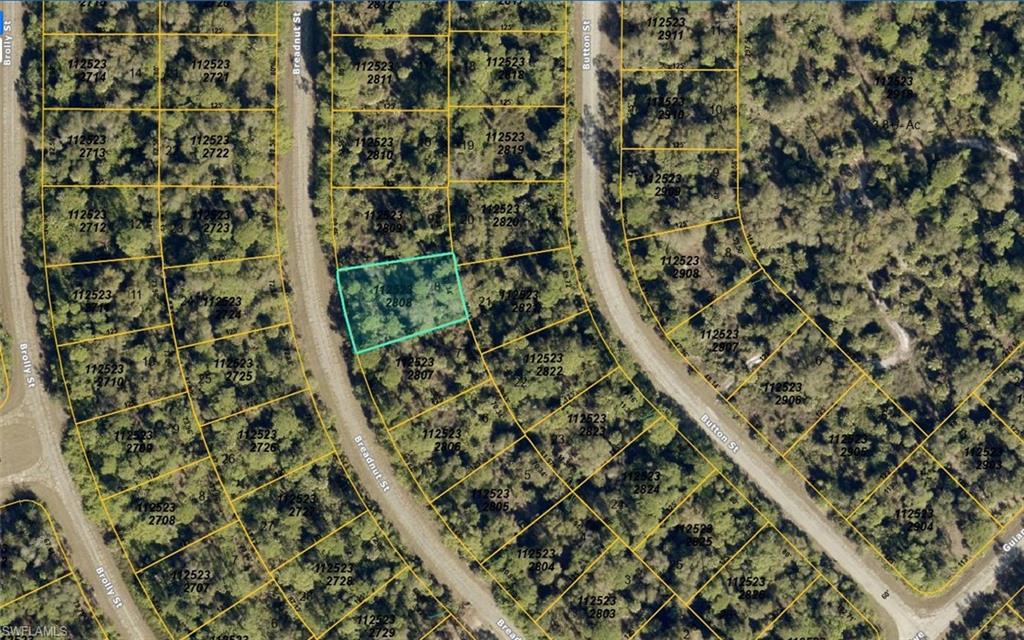1125232808 Breadnut St Property Photo 2