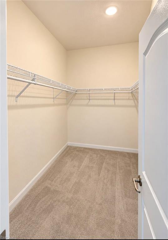 17501 Corkwood Bend Trl Property Photo 11