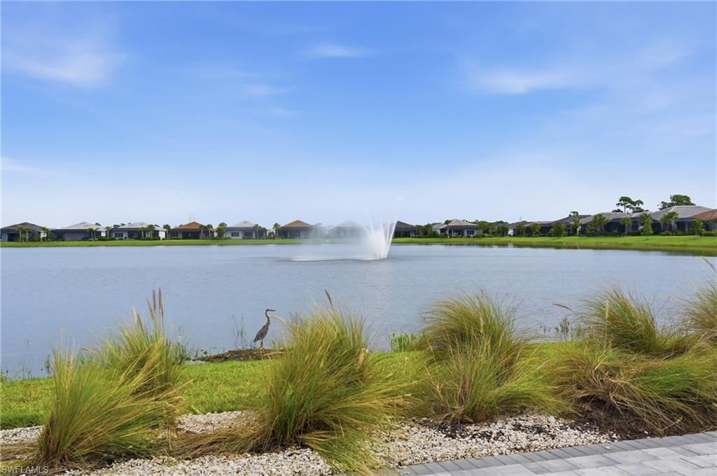 17306 Leaning Oak Trl Property Photo 61