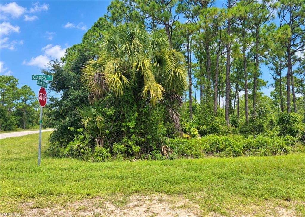13365 Cappy TER Property Photo 1