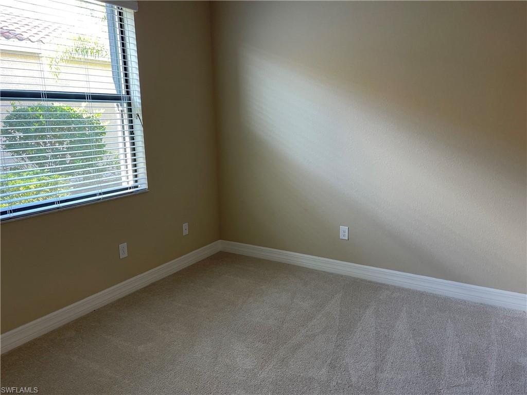 11617 Lakewood Preserve Pl Property Photo 14