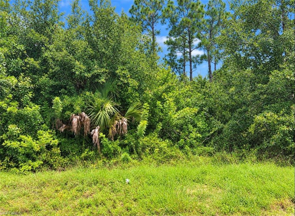 13346 Cappy Ter Property Photo 1