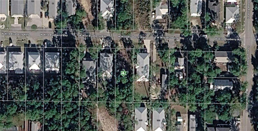 W Wild Blueberry Way Property Photo 1