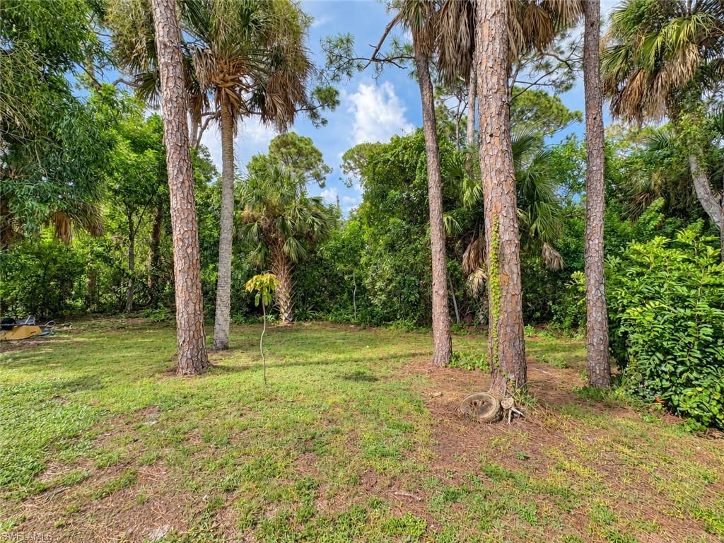 15341 Sam Snead Ln Property Photo 25