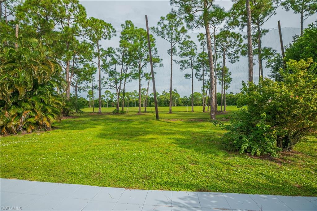 253 Caravan Cir Property Photo 34