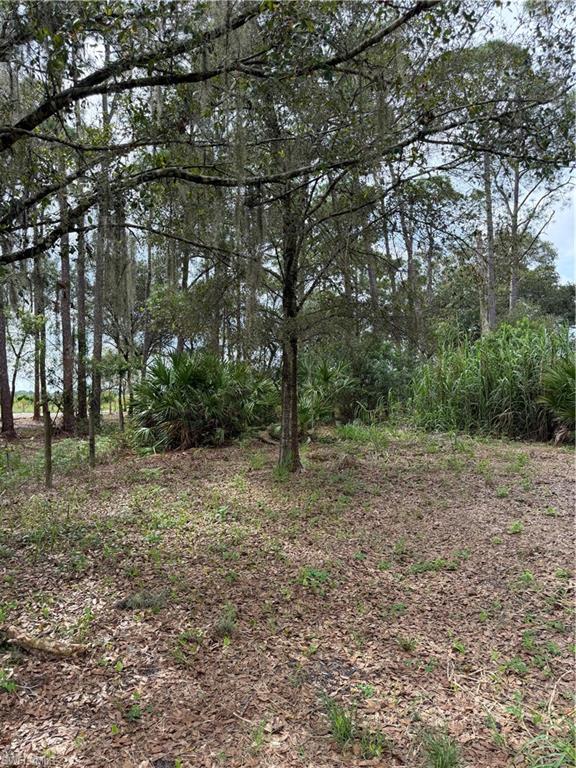 980 N Deer St Property Photo 3