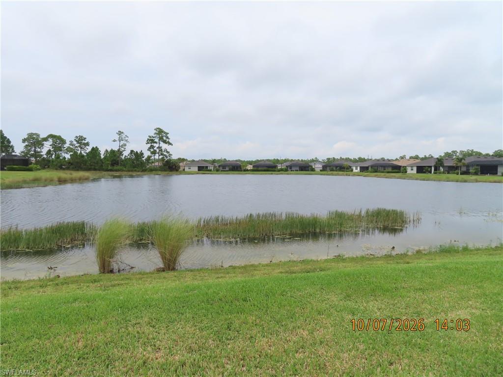 17401 Walnut Run Dr Property Photo 2