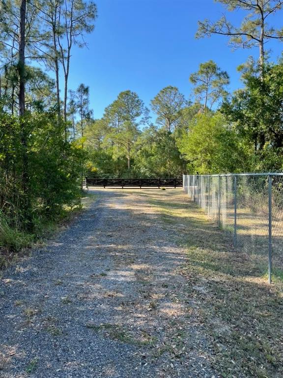 783 Pine Cone Ave Property Photo 8