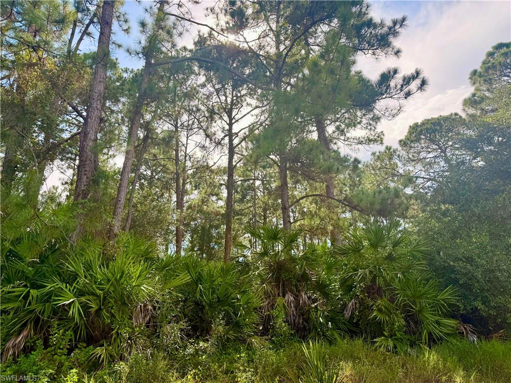 106 Rosemont Pl Property Photo 5