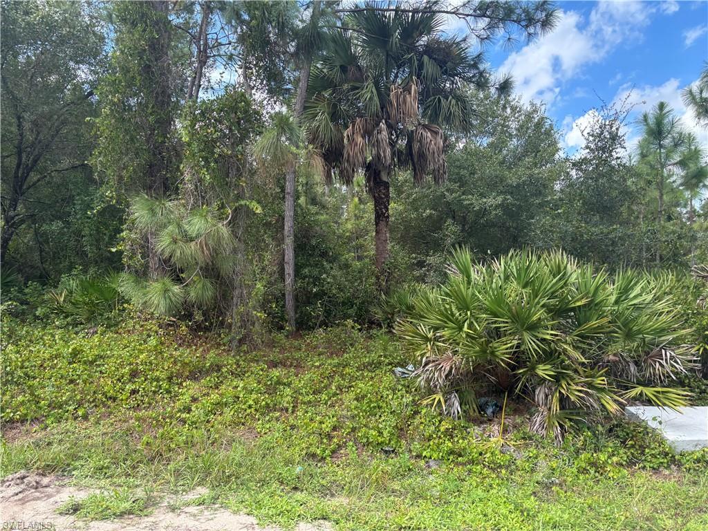 1113 Euclid Ave Property Photo 3