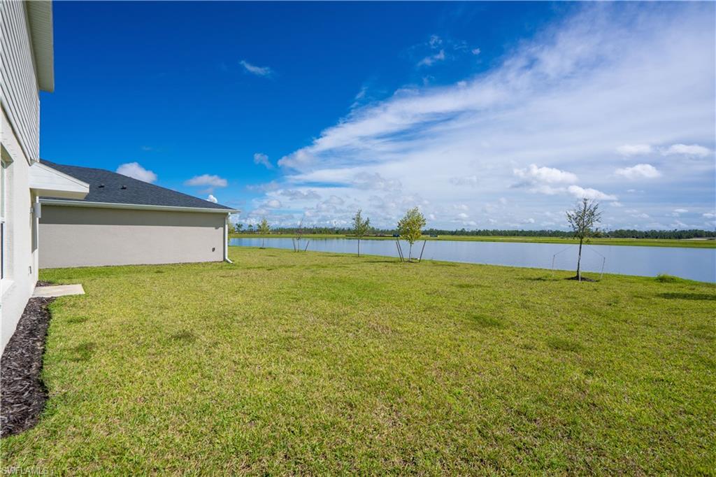 11497 Willowleaf Blvd Property Photo 42