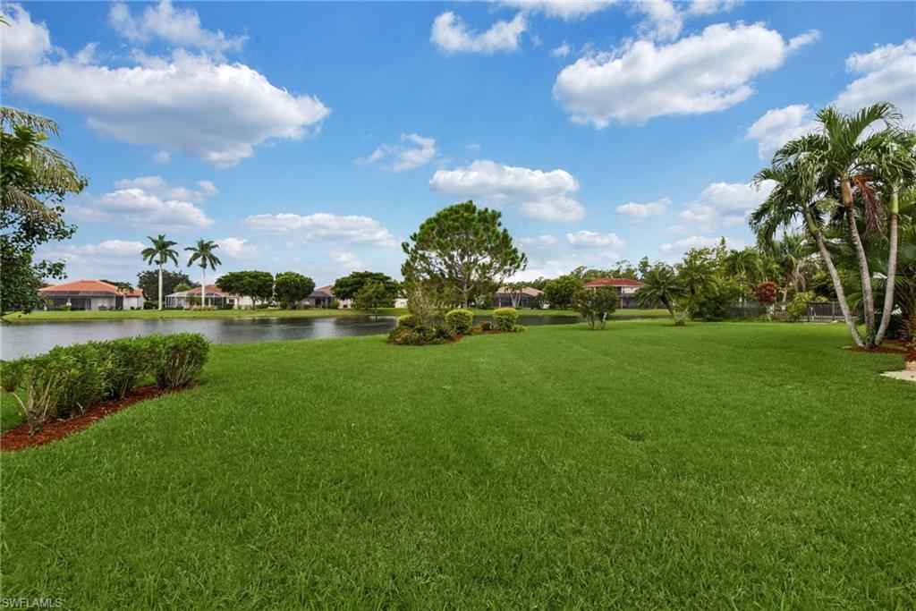 12464 Pebble Stone Ct Property Photo 43