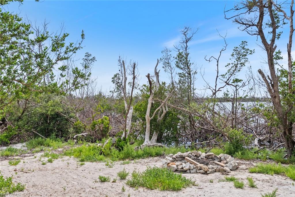11240 Pejuan Shores Property Photo 51