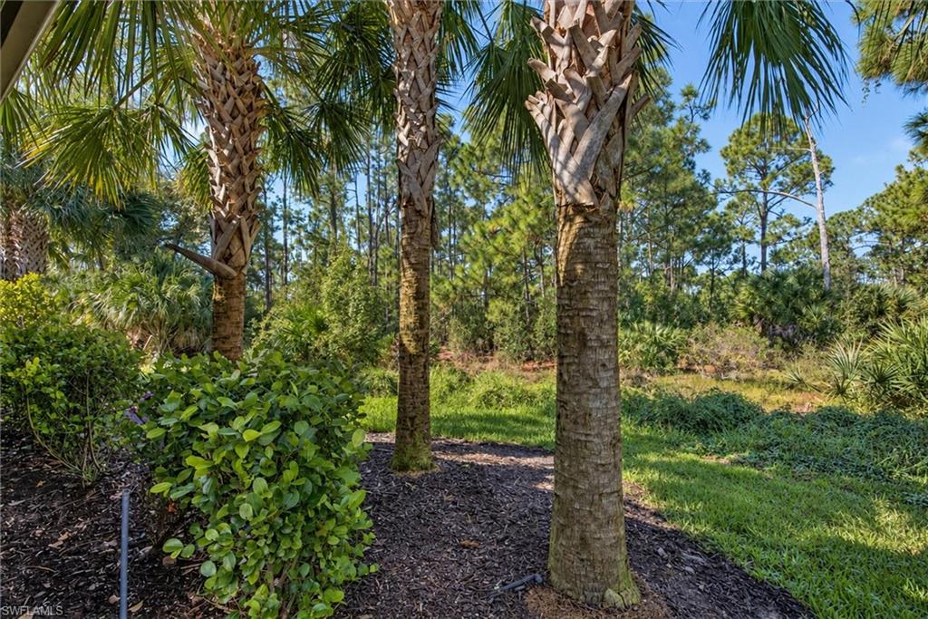 4081 Spotted Eagle Way Property Photo 36