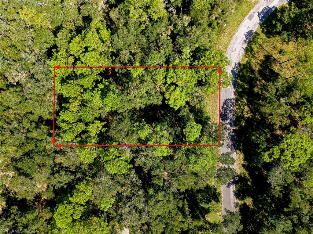 11308 N Fuego Dr Property Photo 1