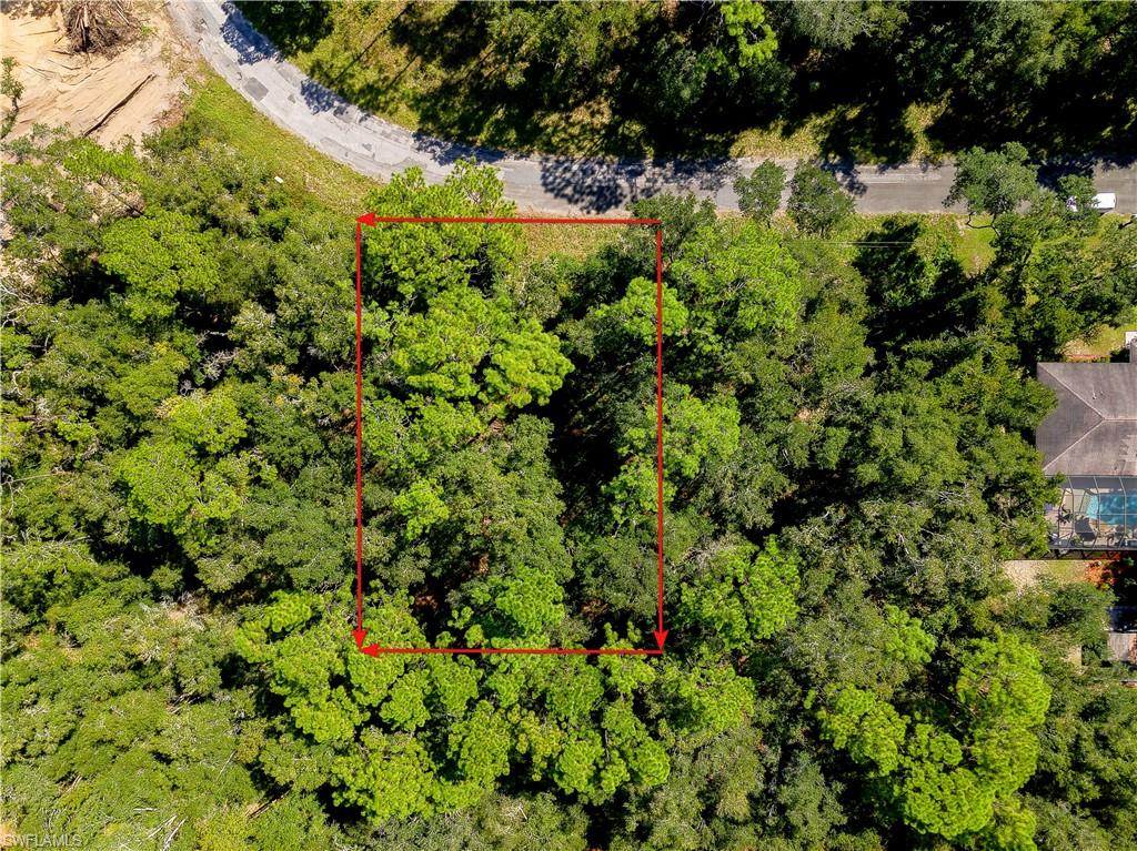 11308 N Fuego Dr Property Photo 2