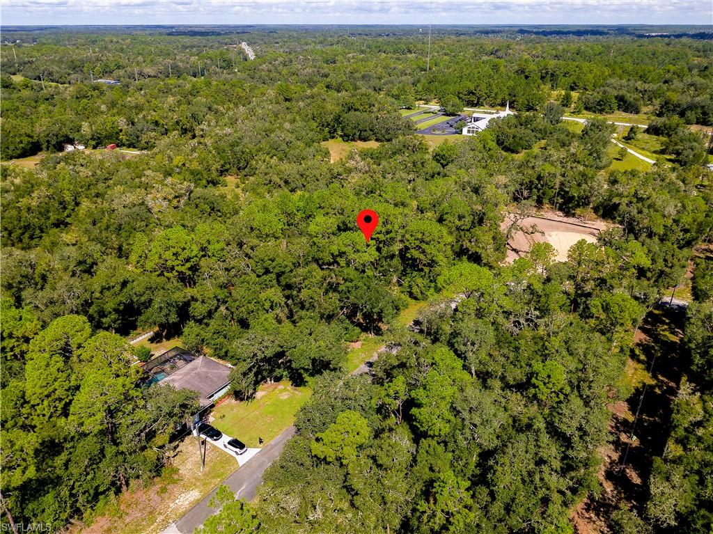 11308 N Fuego Dr Property Photo 5