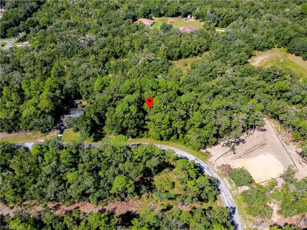 11308 N Fuego Dr Property Photo 8