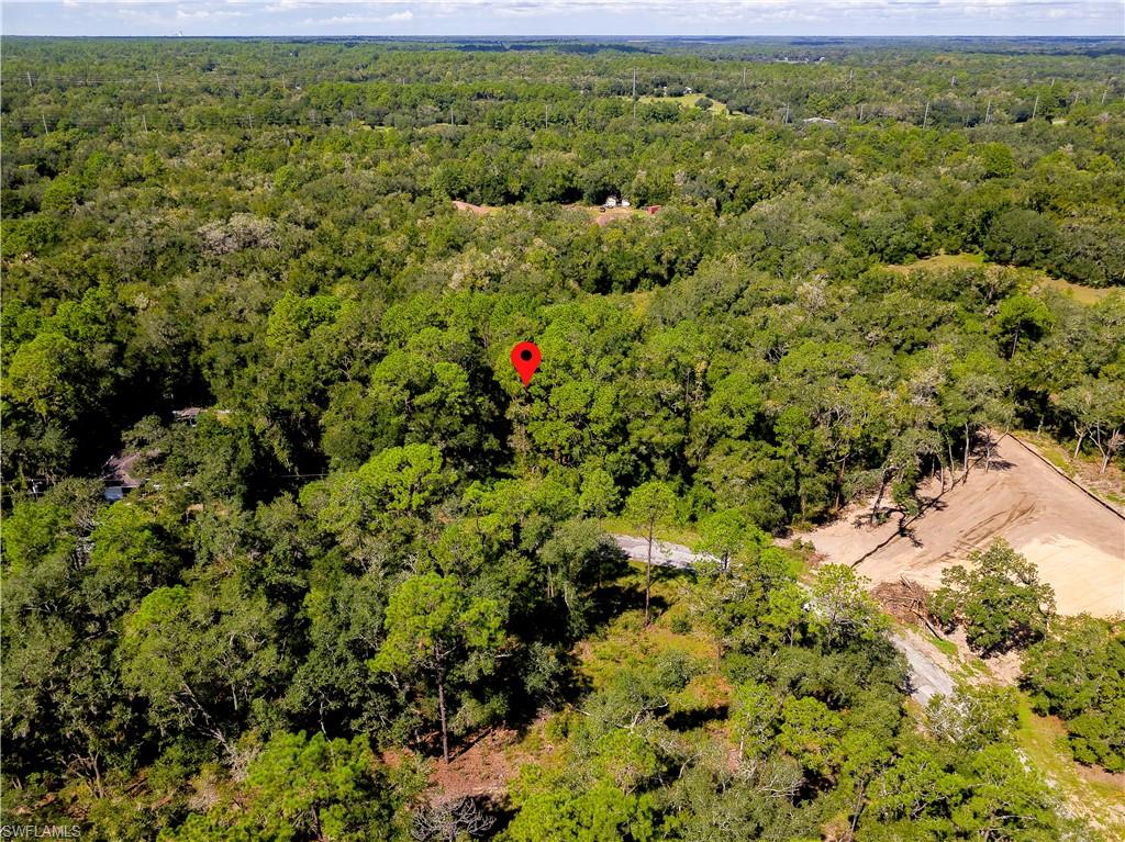 11308 N Fuego Dr Property Photo 10
