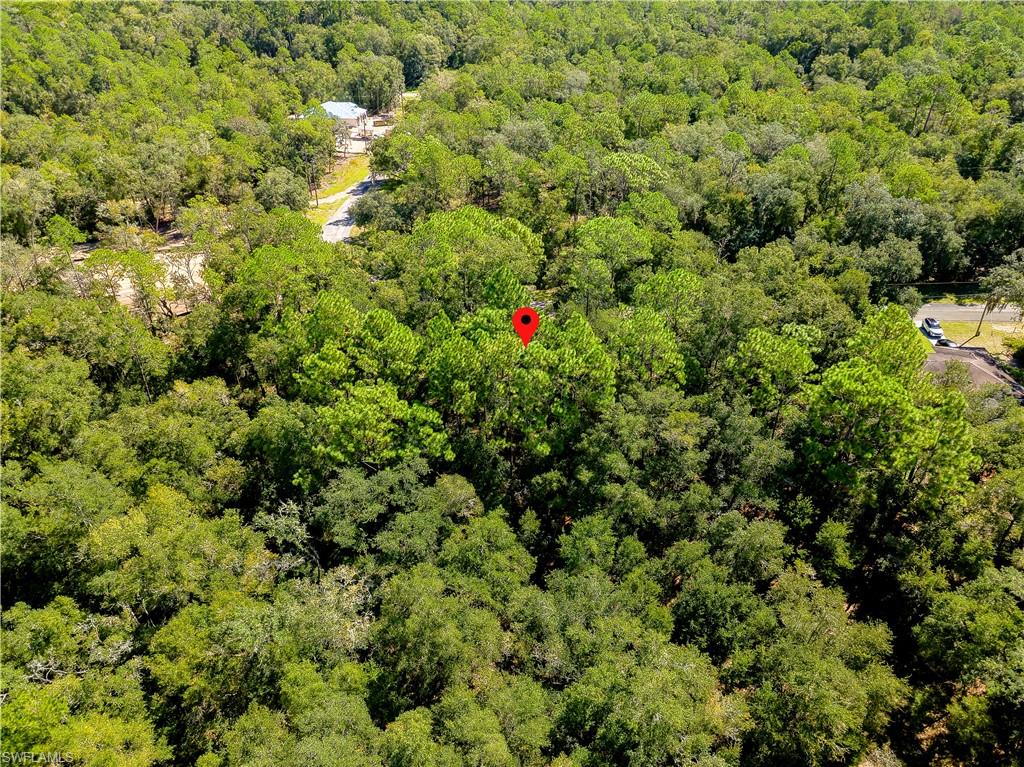 11308 N Fuego Dr Property Photo 12