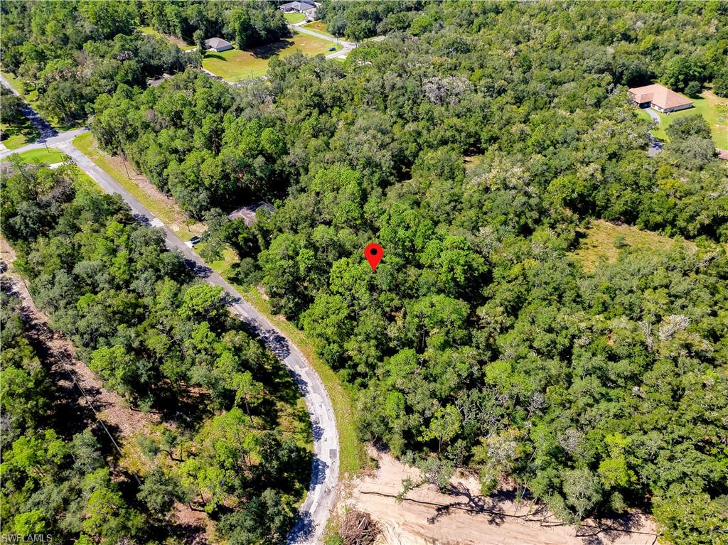 11308 N Fuego Dr Property Photo 13