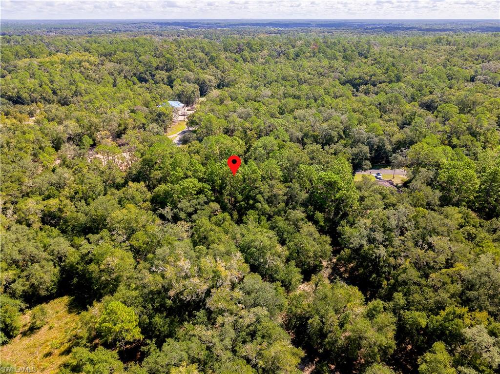 11308 N Fuego Dr Property Photo 15