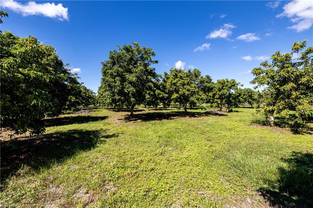 13260 Morningstar Ln Property Photo 3