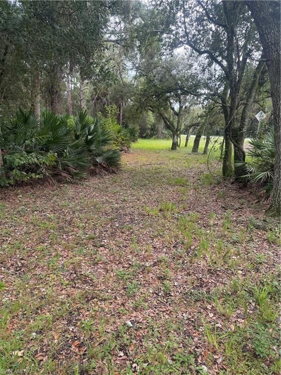 3406 Everhigh Acres Rd Property Photo 4