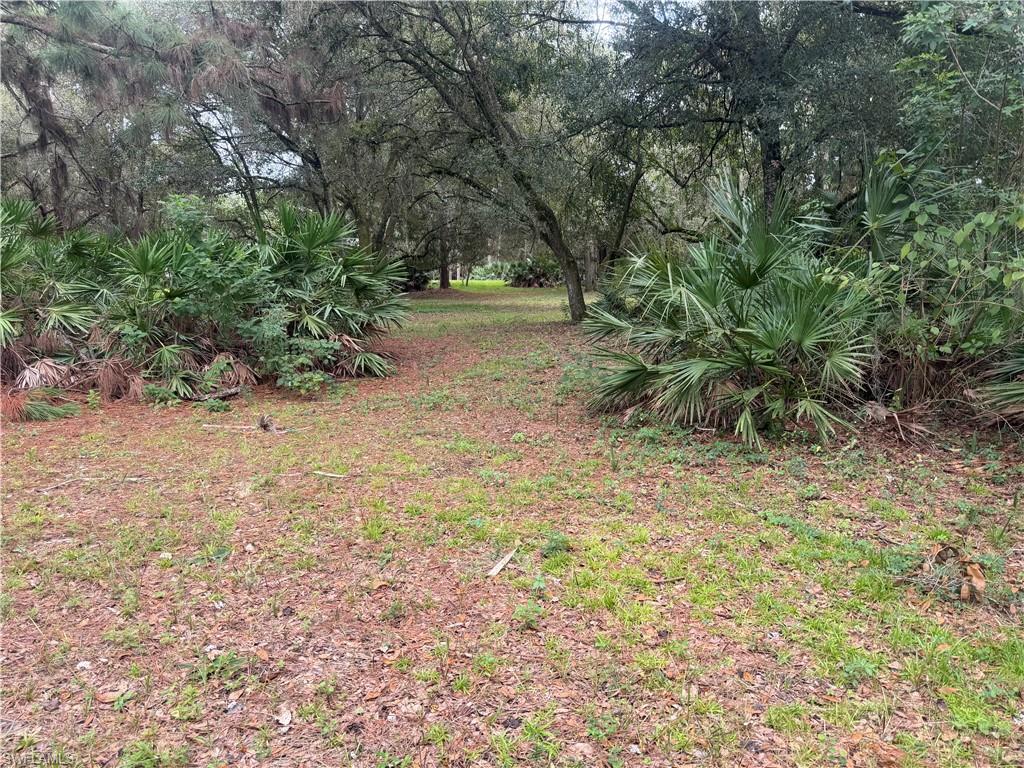 3406 Everhigh Acres Rd Property Photo 5