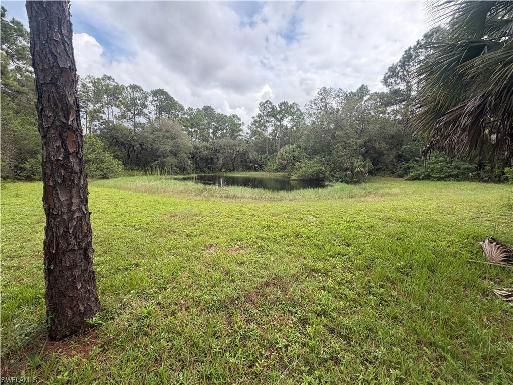 3406 Everhigh Acres Rd Property Photo 10