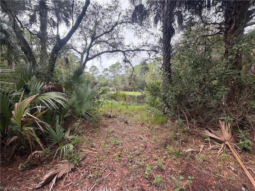 3406 Everhigh Acres Rd Property Photo 13