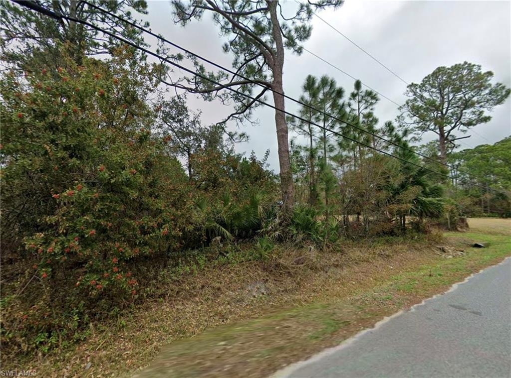 24 3509-50-12-4 Mango Ave Property Photo 3