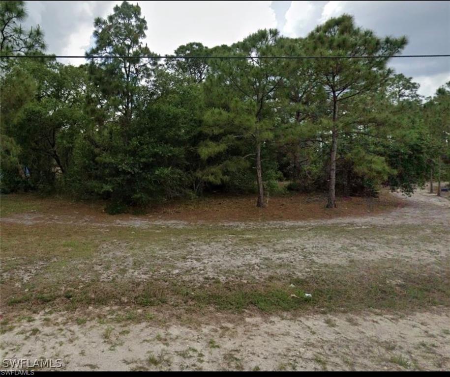 1015 Louis Ave Property Photo 3