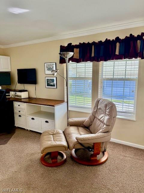 11082 Sunburst Ln Property Photo 13