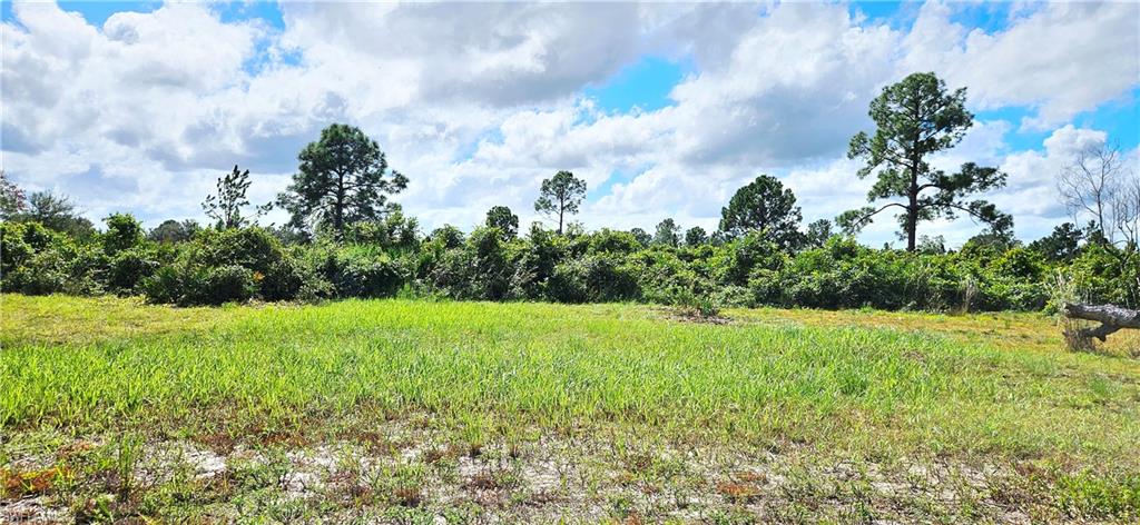 1711 Comanche Trl Property Photo 1
