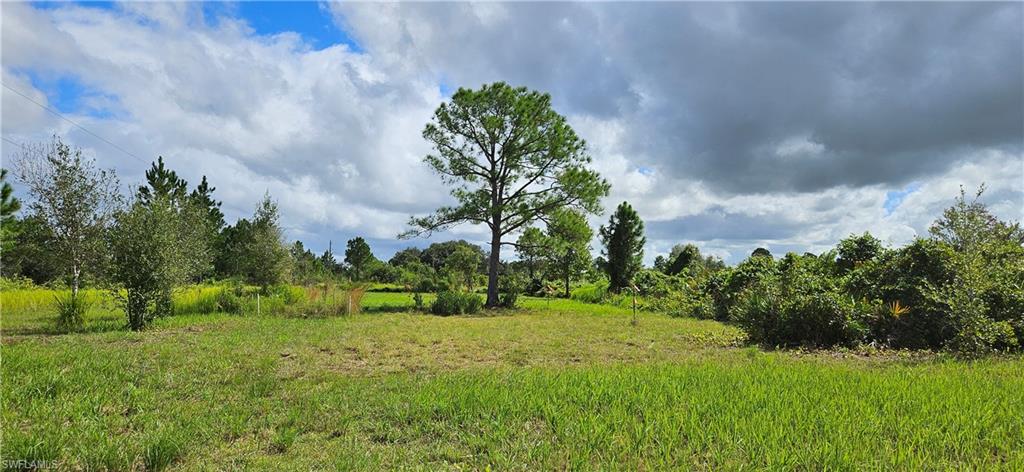 1711 Comanche Trl Property Photo 2