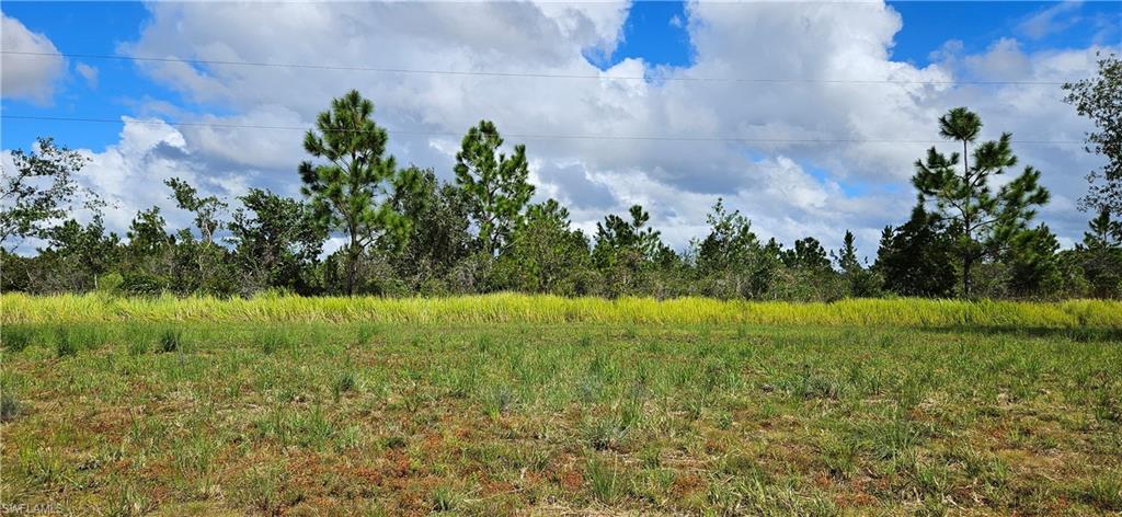 1711 Comanche Trl Property Photo 3