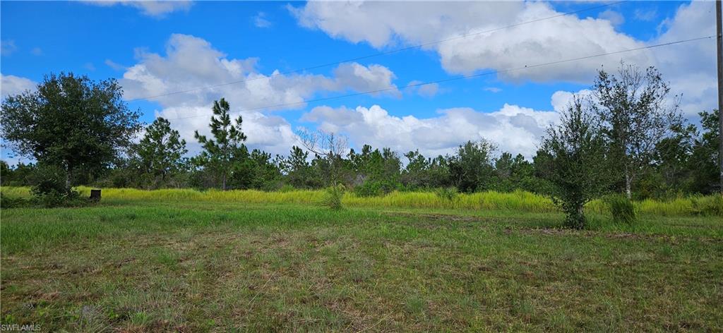 1711 Comanche Trl Property Photo 4