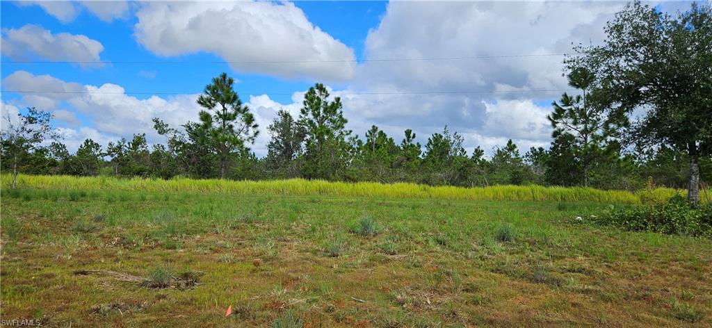 1711 Comanche Trl Property Photo 6