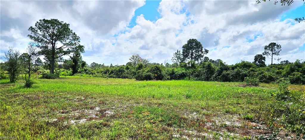 1711 Comanche Trl Property Photo 7