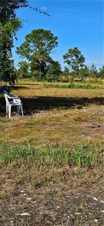 1711 Comanche Trl Property Photo 8