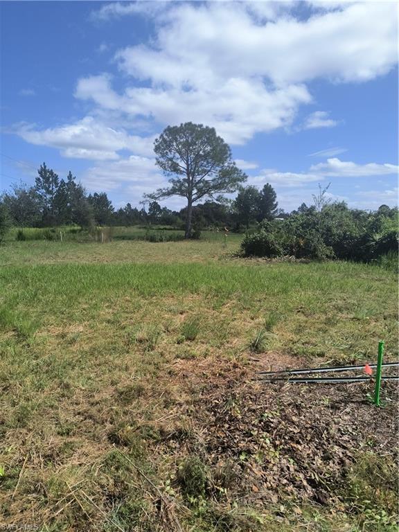 1711 Comanche Trl Property Photo 9